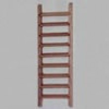 Ladder Walnut 12x60mm 31960